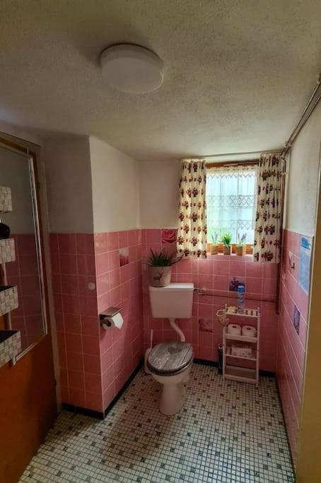 Idyllische Kleine Ferienwohnung Im Schwarzwald Friedenweiler Экстерьер фото