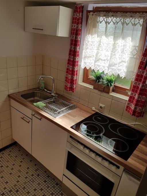 Idyllische Kleine Ferienwohnung Im Schwarzwald Friedenweiler Экстерьер фото